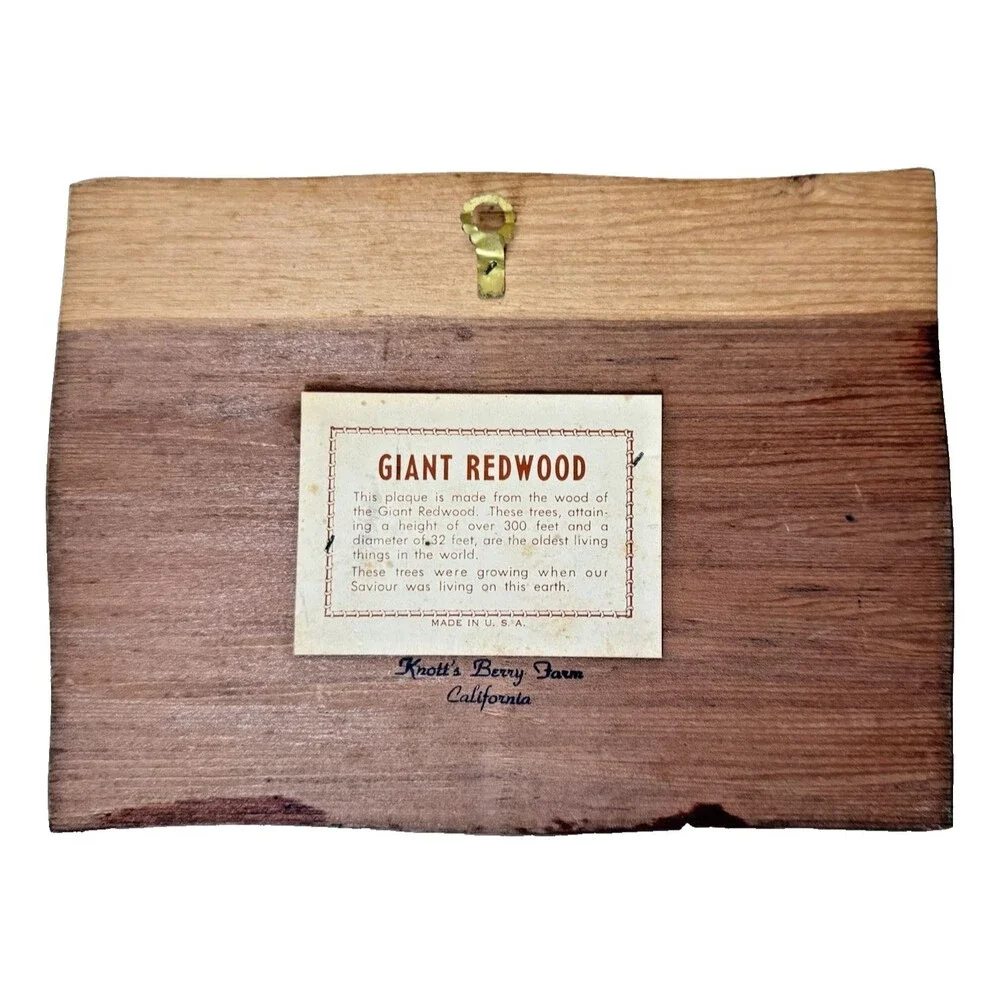Vintage “Why Worry” Giant Redwood Wood Plaque Wall Art Knott's Berry Farms